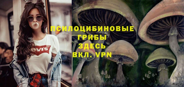 наркотики Абаза